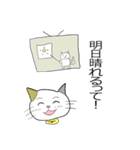 お天気伝える天気猫♪2（個別スタンプ：2）