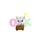 ハムスター TSUKIMI（個別スタンプ：1）