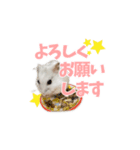 ハムスター TSUKIMI（個別スタンプ：3）