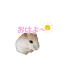 ハムスター TSUKIMI（個別スタンプ：4）