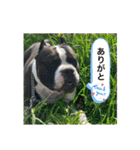 愉快な仲間たち その2（個別スタンプ：7）