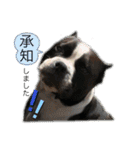 愉快な仲間たち その2（個別スタンプ：17）