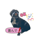 愉快な仲間たち その2（個別スタンプ：18）