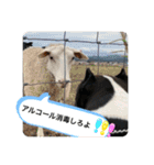 愉快な仲間たち その2（個別スタンプ：20）