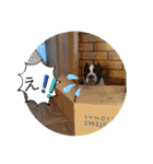 愉快な仲間たち その2（個別スタンプ：25）