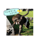 愉快な仲間たち その2（個別スタンプ：26）