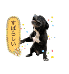 愉快な仲間たち その2（個別スタンプ：27）