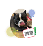 愉快な仲間たち その2（個別スタンプ：29）