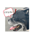 愉快な仲間たち その2（個別スタンプ：32）