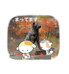 こねこ物語 4 秋 ていねいな言葉（個別スタンプ：13）