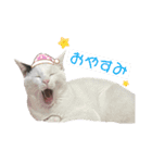 とらじるちょり（個別スタンプ：5）
