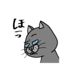 黒？ねこさん  手書き文字 シンプル（個別スタンプ：34）