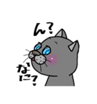 黒？ねこさん  手書き文字 シンプル（個別スタンプ：37）