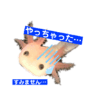 ウーパールーパーの赤ちゃん♡（個別スタンプ：6）