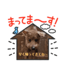 大切な存在1（個別スタンプ：6）