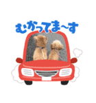 大切な存在1（個別スタンプ：7）