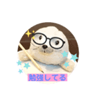 あざらしのおうちゃん（個別スタンプ：1）