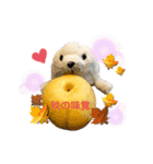 あざらしのおうちゃん（個別スタンプ：2）