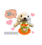 あざらしのおうちゃん（個別スタンプ：3）