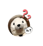 あざらしのおうちゃん（個別スタンプ：5）
