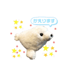 あざらしのおうちゃん（個別スタンプ：6）