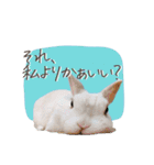 うさぎのLaniさん(日常で使える大人の敬語)（個別スタンプ：6）