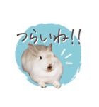 うさぎのLaniさん(日常で使える大人の敬語)（個別スタンプ：9）