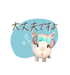 うさぎのLaniさん(日常で使える大人の敬語)（個別スタンプ：14）