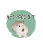 うさぎのLaniさん(日常で使える大人の敬語)（個別スタンプ：20）