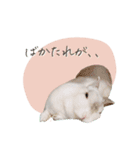 うさぎのLaniさん(日常で使える大人の敬語)（個別スタンプ：22）