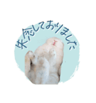 うさぎのLaniさん(日常で使える大人の敬語)（個別スタンプ：23）