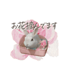 うさぎのLaniさん(日常で使える大人の敬語)（個別スタンプ：26）