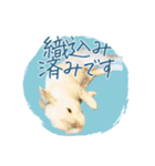 うさぎのLaniさん(日常で使える大人の敬語)（個別スタンプ：28）