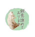 うさぎのLaniさん(日常で使える大人の敬語)（個別スタンプ：30）