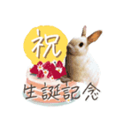 うさぎのLaniさん(日常で使える大人の敬語)（個別スタンプ：32）