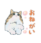 かわいくてごめん♡なねこにゃんず④（個別スタンプ：3）