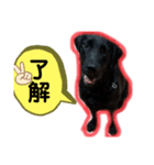 はる スマイル（個別スタンプ：1）