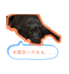 はる スマイル（個別スタンプ：3）