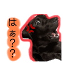 はる スマイル（個別スタンプ：5）