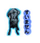 はる スマイル（個別スタンプ：6）