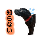 はる スマイル（個別スタンプ：8）