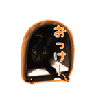 承諾猫（個別スタンプ：4）