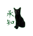 承諾猫（個別スタンプ：5）