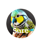 セキセイインコ budgie.（個別スタンプ：32）