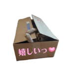 ぷぷにゃん《箱入り》（個別スタンプ：11）