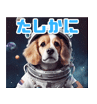 かわいい宇宙飛行犬アストロノーツ（個別スタンプ：33）