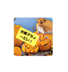 ハムちゃん好きのハロウィンスタンプ（個別スタンプ：7）