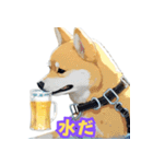 ハッピーアワー 柴犬ビール（個別スタンプ：8）