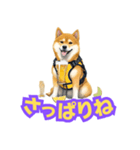 ハッピーアワー 柴犬ビール（個別スタンプ：11）