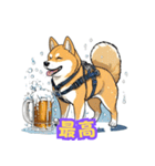 ハッピーアワー 柴犬ビール（個別スタンプ：21）